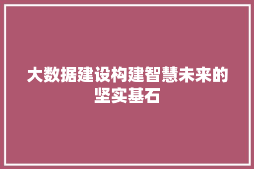 大数据建设构建智慧未来的坚实基石