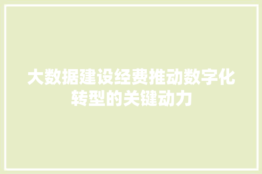 大数据建设经费推动数字化转型的关键动力