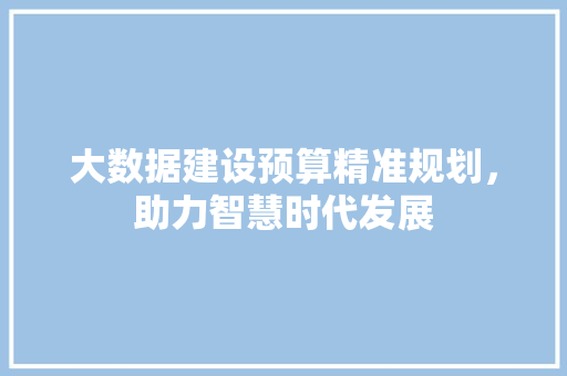 大数据建设预算精准规划，助力智慧时代发展