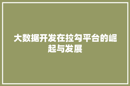 大数据开发在拉勾平台的崛起与发展