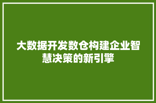 大数据开发数仓构建企业智慧决策的新引擎