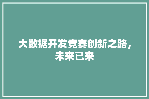 大数据开发竞赛创新之路，未来已来