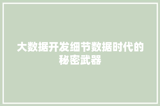 大数据开发细节数据时代的秘密武器