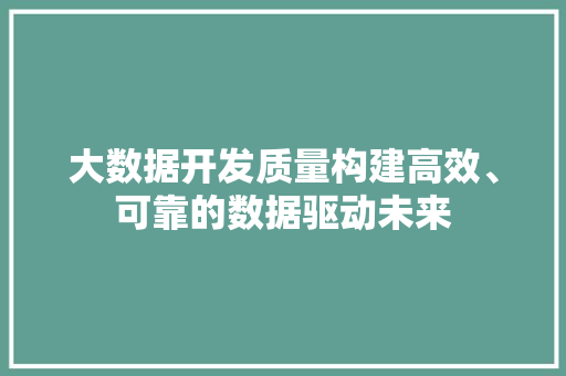 大数据开发质量构建高效、可靠的数据驱动未来