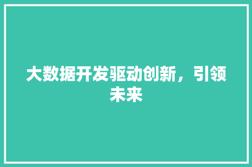 大数据开发驱动创新，引领未来 编程语言