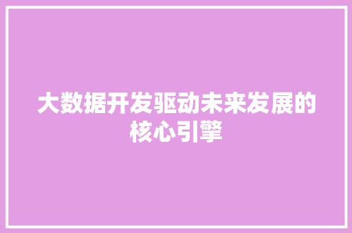 大数据开发驱动未来发展的核心引擎