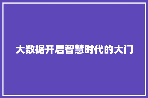 大数据开启智慧时代的大门