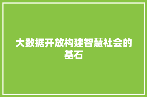 大数据开放构建智慧社会的基石 编程语言
