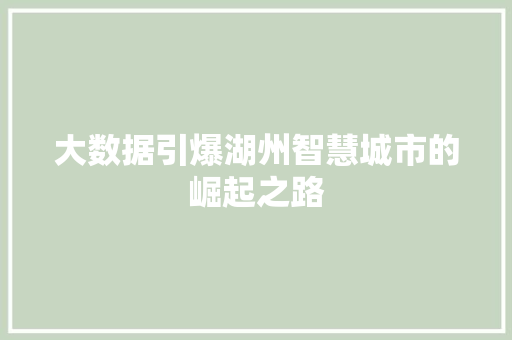 大数据引爆湖州智慧城市的崛起之路