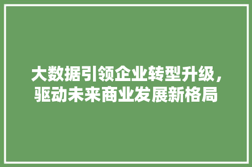 大数据引领企业转型升级，驱动未来商业发展新格局