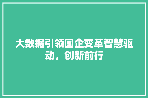 大数据引领国企变革智慧驱动,创新前行 电脑配置 大数据引领国企变革智慧驱动,创新前行 电脑配置