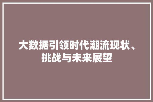 大数据引领时代潮流现状、挑战与未来展望