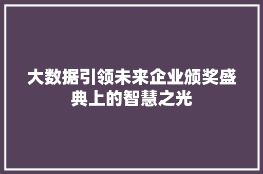 大数据引领未来企业颁奖盛典上的智慧之光