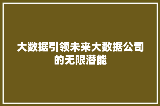 大数据引领未来大数据公司的无限潜能 电脑基础