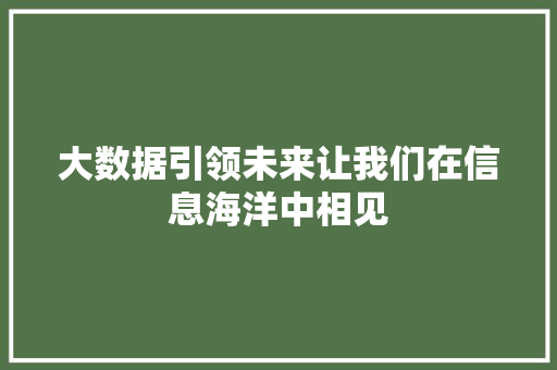 大数据引领未来让我们在信息海洋中相见