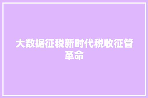 大数据征税新时代税收征管革命