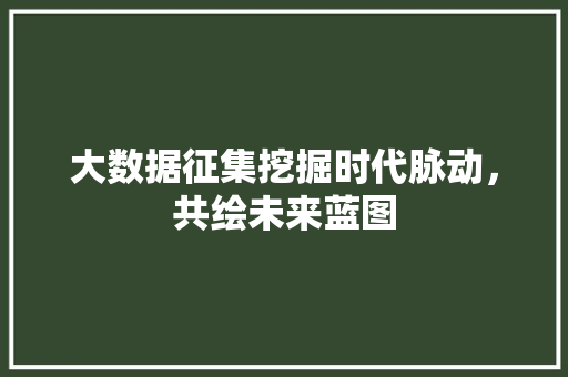 大数据征集挖掘时代脉动，共绘未来蓝图