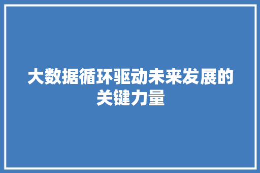 大数据循环驱动未来发展的关键力量