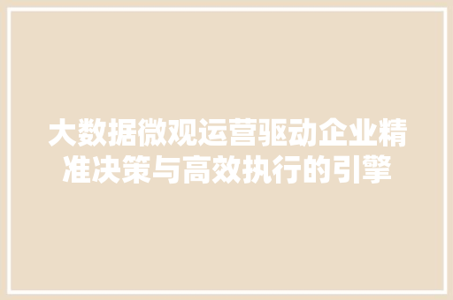 大数据微观运营驱动企业精准决策与高效执行的引擎