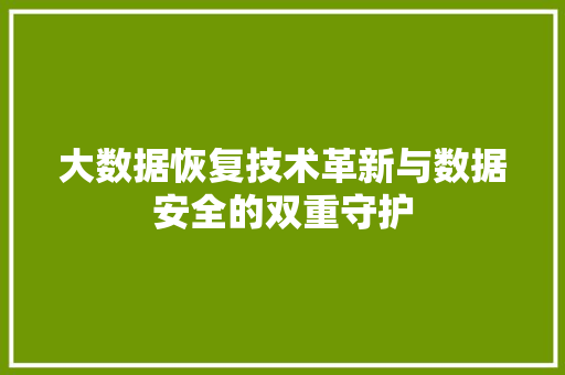 大数据恢复技术革新与数据安全的双重守护 电脑故障维修 大数据恢复技术革新与数据安全的双重守护 电脑故障维修