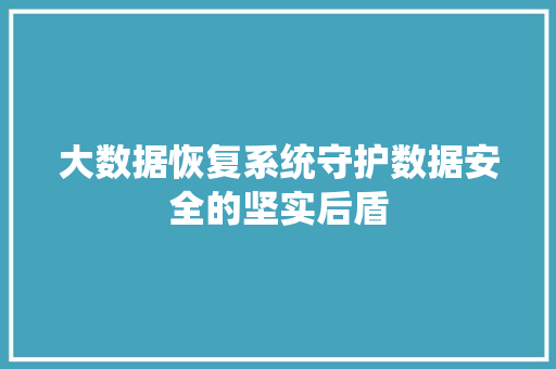 大数据恢复系统守护数据安全的坚实后盾