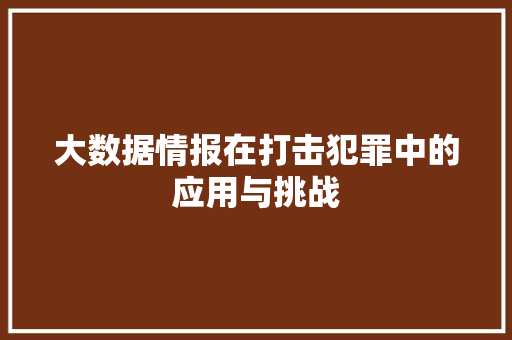 大数据情报在打击犯罪中的应用与挑战 大数据情报在打击犯罪中的应用与挑战