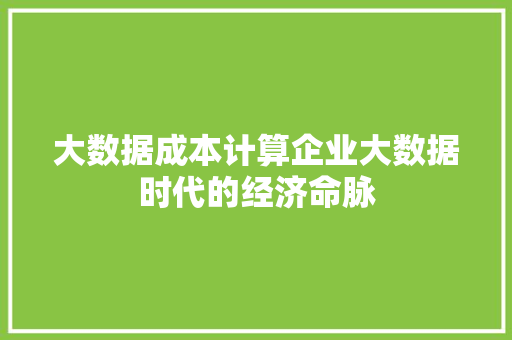 大数据成本计算企业大数据时代的经济命脉