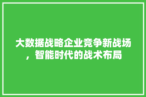 大数据战略企业竞争新战场，智能时代的战术布局