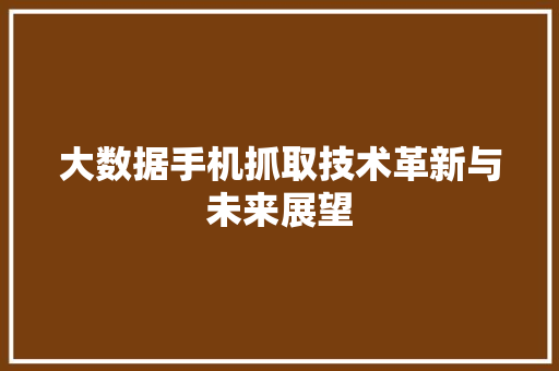 大数据手机抓取技术革新与未来展望