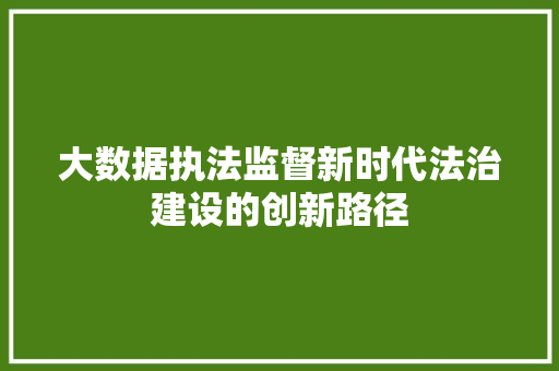 大数据执法监督新时代法治建设的创新路径 编程语言