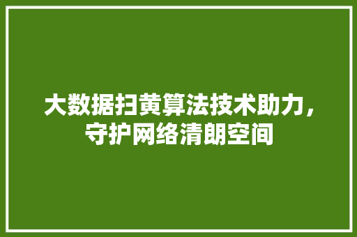大数据扫黄算法技术助力，守护网络清朗空间