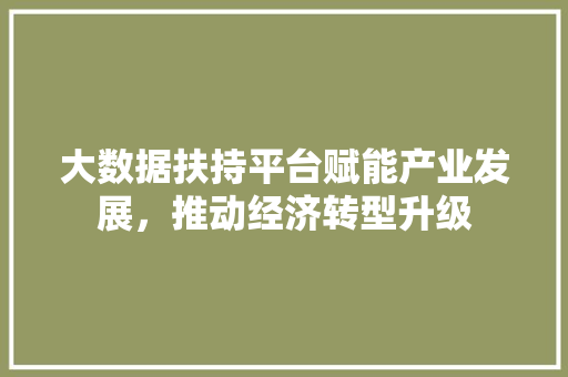 大数据扶持平台赋能产业发展，推动经济转型升级