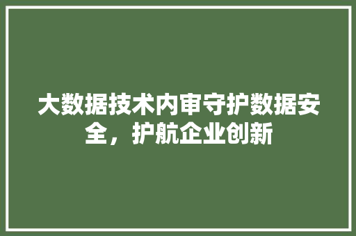 大数据技术内审守护数据安全,护航企业创新 大数据技术内审守护数据安全,护航企业创新