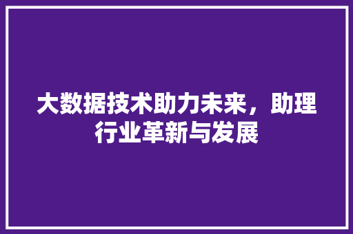 大数据技术助力未来，助理行业革新与发展
