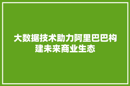 大数据技术助力阿里巴巴构建未来商业生态