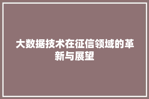大数据技术在征信领域的革新与展望