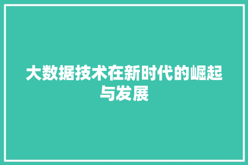 大数据技术在新时代的崛起与发展