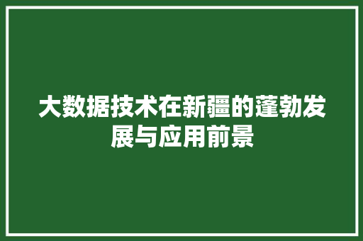 大数据技术在新疆的蓬勃发展与应用前景