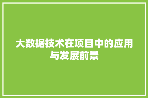 大数据技术在项目中的应用与发展前景 大数据技术在项目中的应用与发展前景