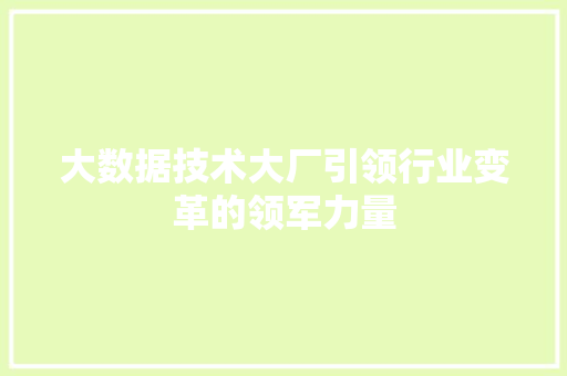 大数据技术大厂引领行业变革的领军力量 大数据技术大厂引领行业变革的领军力量