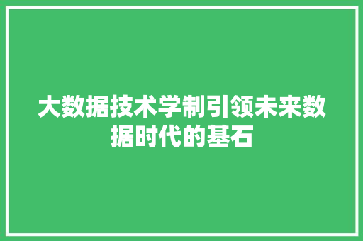 大数据技术学制引领未来数据时代的基石 大数据技术学制引领未来数据时代的基石