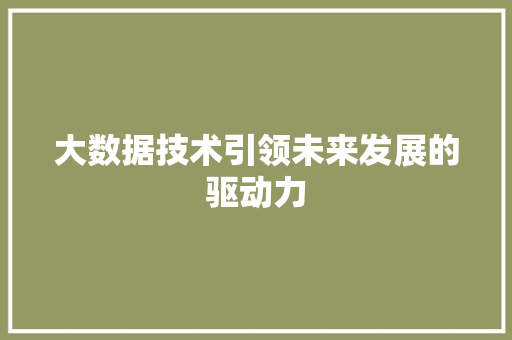 大数据技术引领未来发展的驱动力