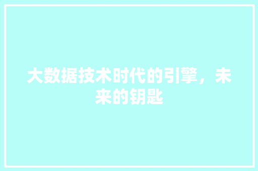 大数据技术时代的引擎，未来的钥匙