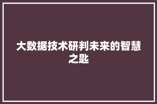 大数据技术研判未来的智慧之匙