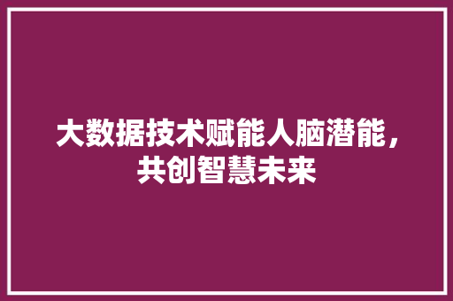 大数据技术赋能人脑潜能，共创智慧未来