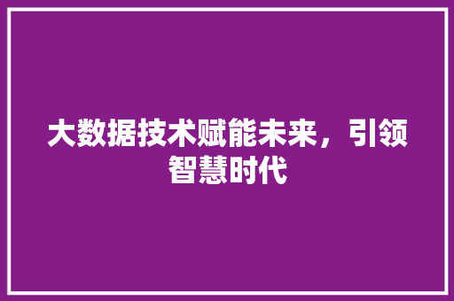 大数据技术赋能未来，引领智慧时代