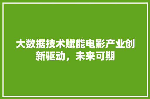 大数据技术赋能电影产业创新驱动，未来可期