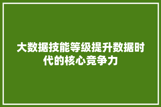 大数据技能等级提升数据时代的核心竞争力