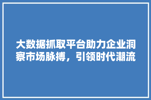 大数据抓取平台助力企业洞察市场脉搏，引领时代潮流