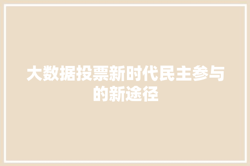 大数据投票新时代民主参与的新途径